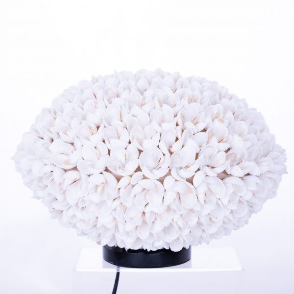 UFO kagyló lámpa 2 UFO kagyló lámpa - Image 2