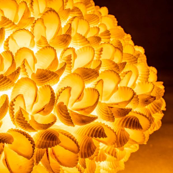 UFO kagyló lámpa 4 UFO kagyló lámpa - Image 4