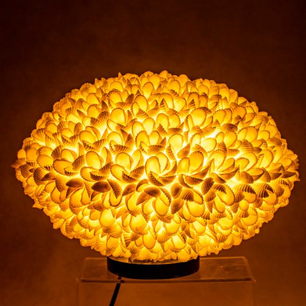 UFO kagyló lámpa 1 UFO kagyló lámpa