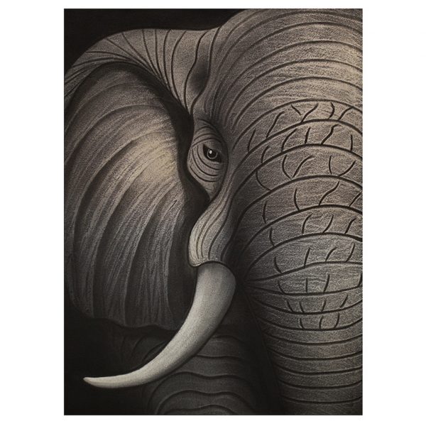 The wise Elephant - Akril festmény GY 1 The wise Elephant - Akril festmény GY